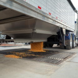 1-Oct-06-2025-04-02-36-1929-PM