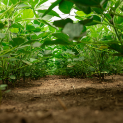 2-Aug-13-2025-07-32-16-3832-PM