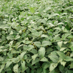 2-Oct-01-2025-06-27-28-6833-PM