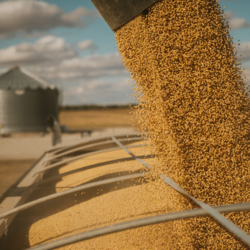 2-Sep-17-2025-01-20-18-6077-PM