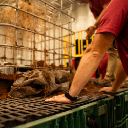 3-Oct-01-2025-06-27-28-6426-PM