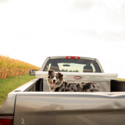 3-Oct-06-2025-04-02-36-1189-PM