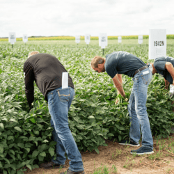 3-Sep-17-2025-01-20-18-5850-PM