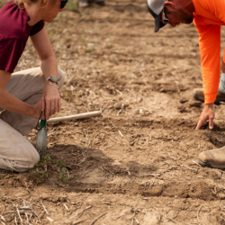 4-Oct-01-2025-06-27-28-6512-PM