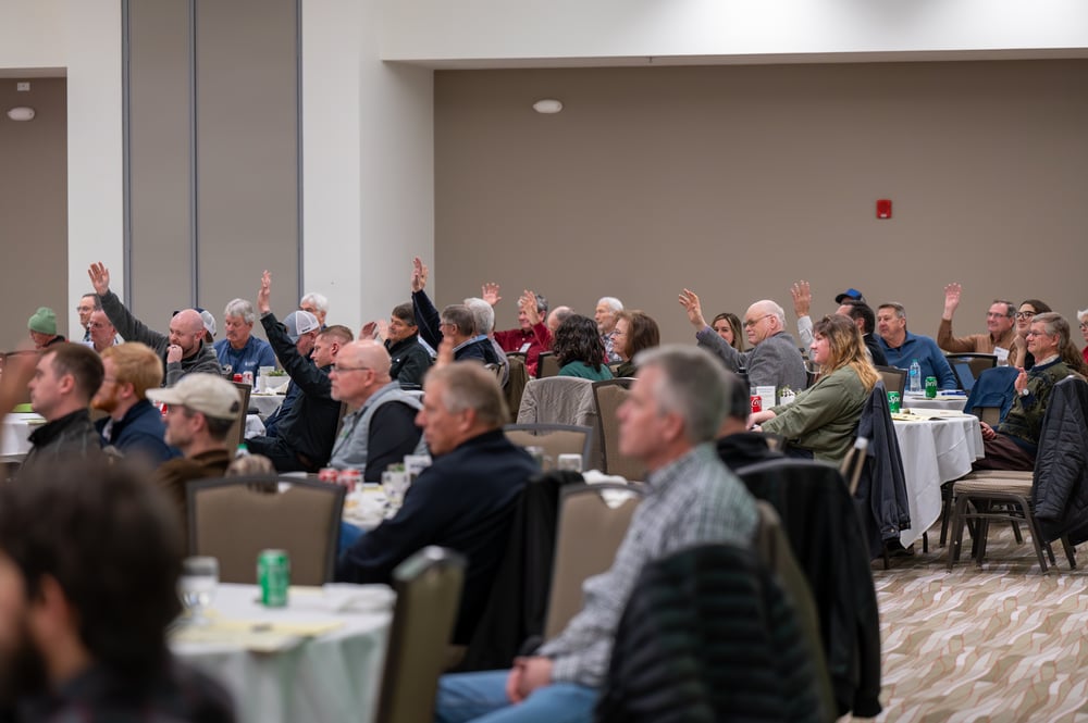 54320504872_6b61bb6a66_o