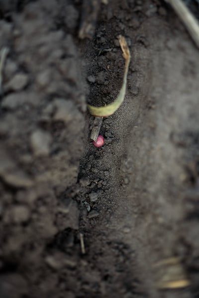 54524396593_aa229a0b4d_c