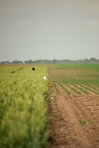 54565918246_372d50acc2_c