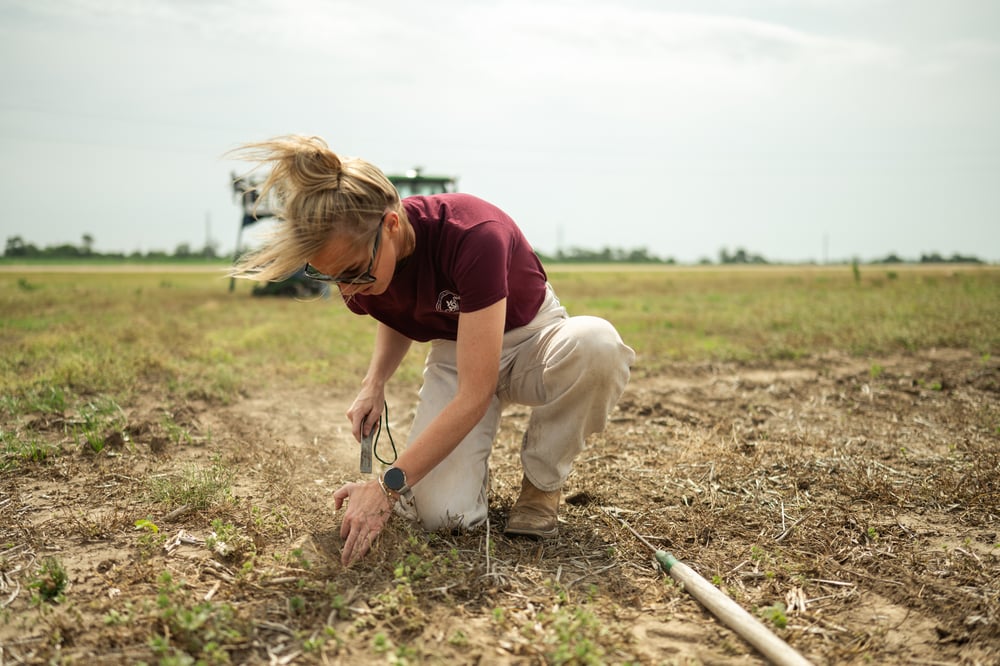 54565918696_bbf767254e_o