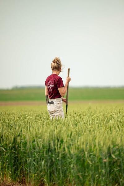 54566151403_81ee1e274b_c