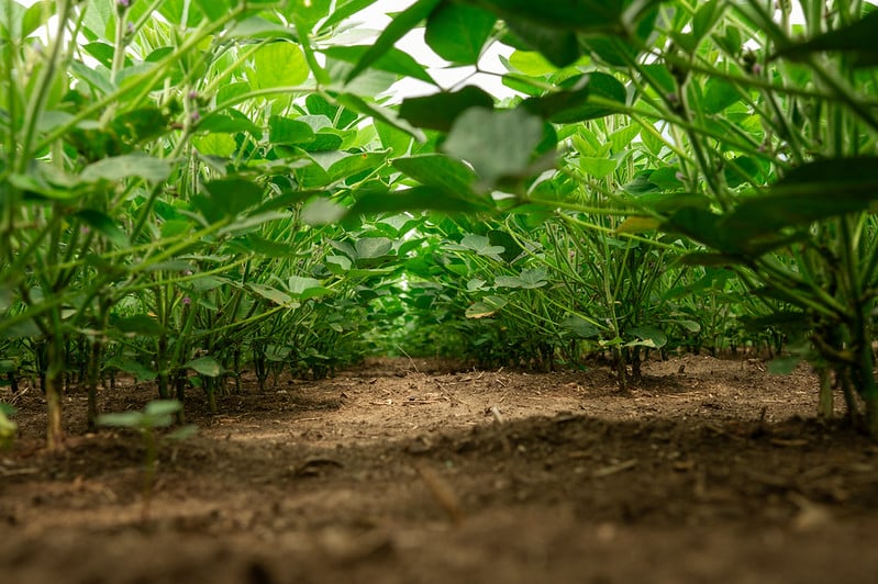 54645918362_9bd3273222_c