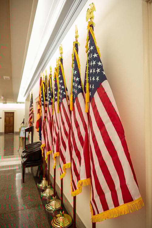 54661108972_0c3fee2b6a_c