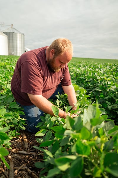 54661121887_4dfbeef6f4_c