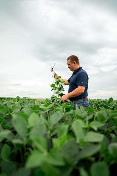 54662197363_1c4851a879_c