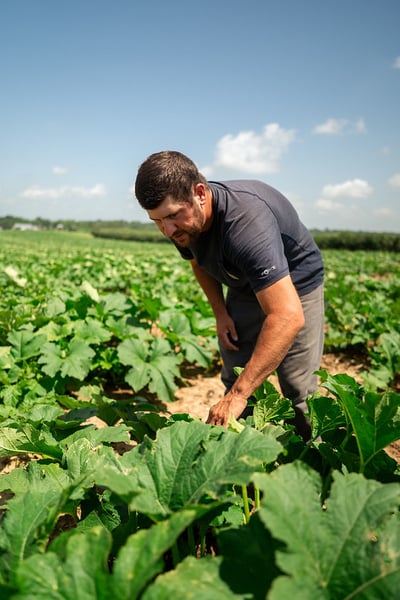 54676200900_93b5f77740_c