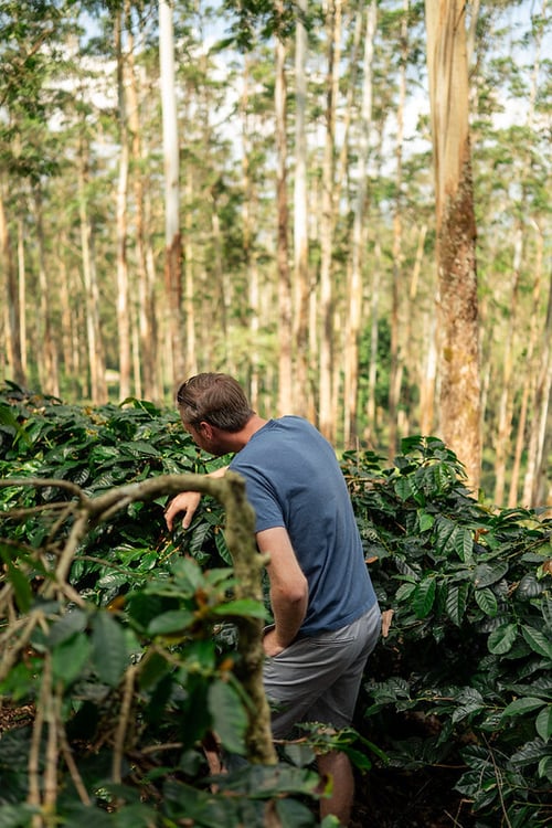 54690125732_0af832394a_c