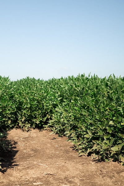 54719542842_7776217a08_c