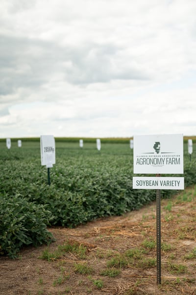 54745238128_dae0aacbd1_o