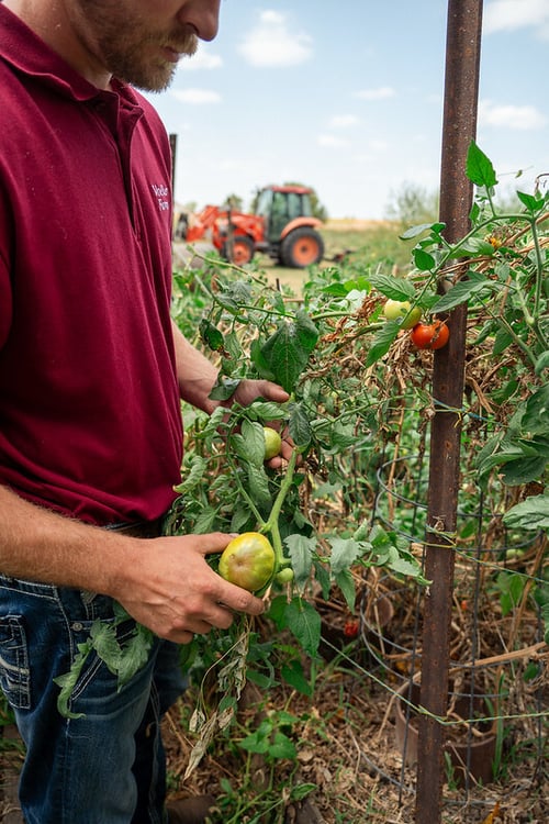 54782955064_197e0f2d43_c