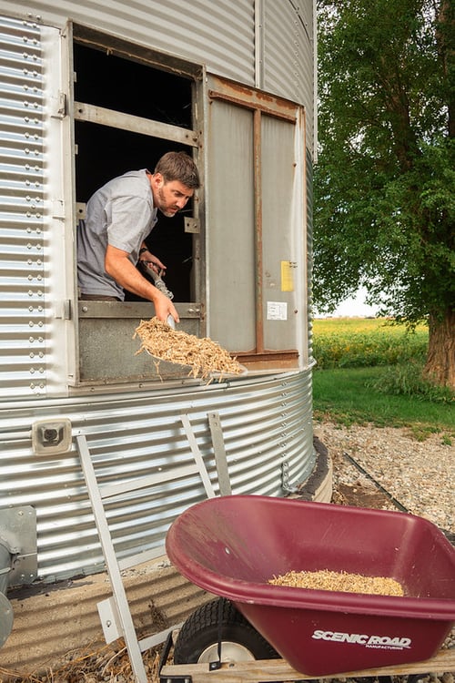 54789839193_fc40e66830_c