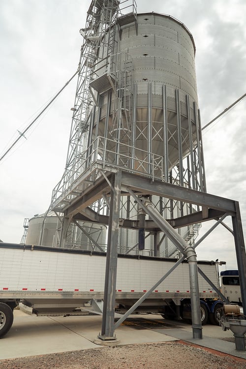 54805545719_9894c9be2e_c