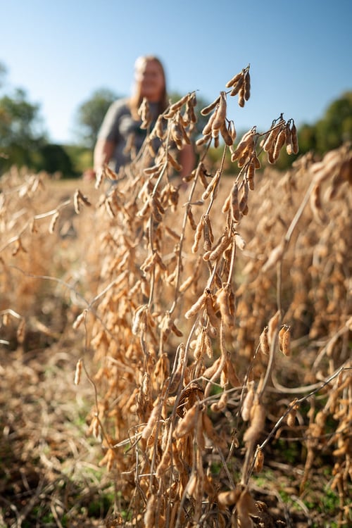 54859633199_a62532bfcc_c