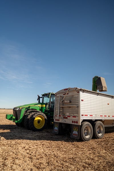 54875610638_1cb71a8707_c