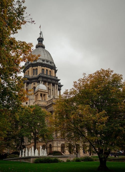 54890483593_7540f4db3d_c