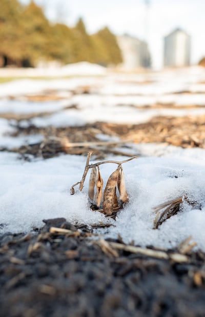 54990958105_176fa270cb_c