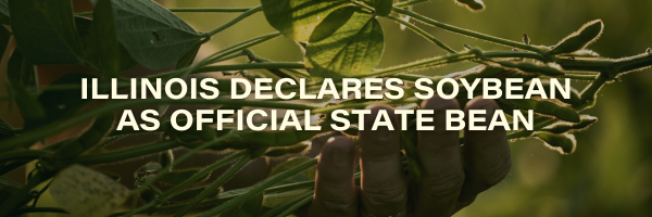 ILLINOIS DECLARES SOYBEAN AS OFFICIAL STATE BEAN