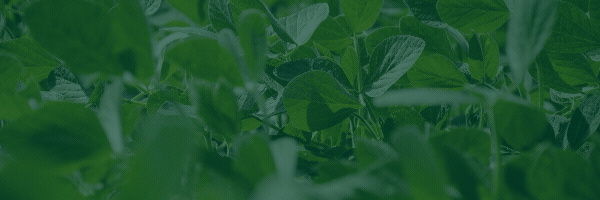 Photos for Website (1080 x 400 px)-1